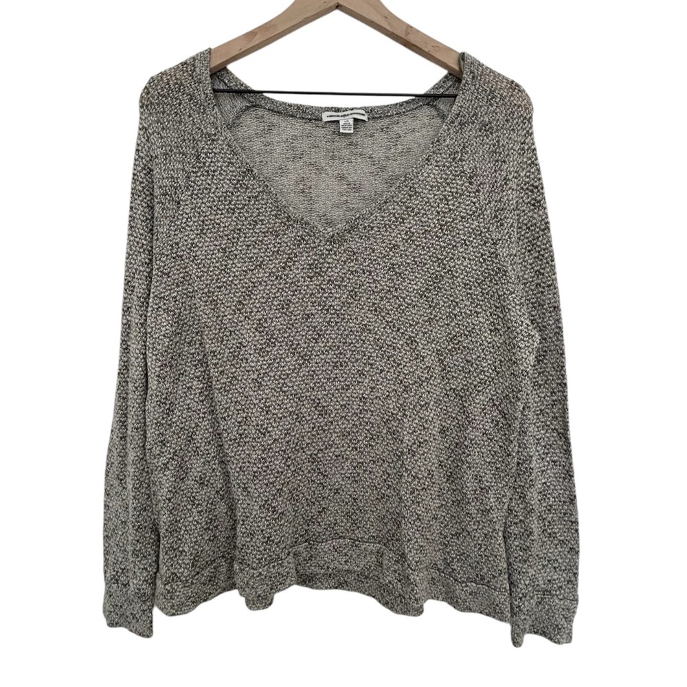American Eagle Outfitters Grey V Neck sweater 
Size small